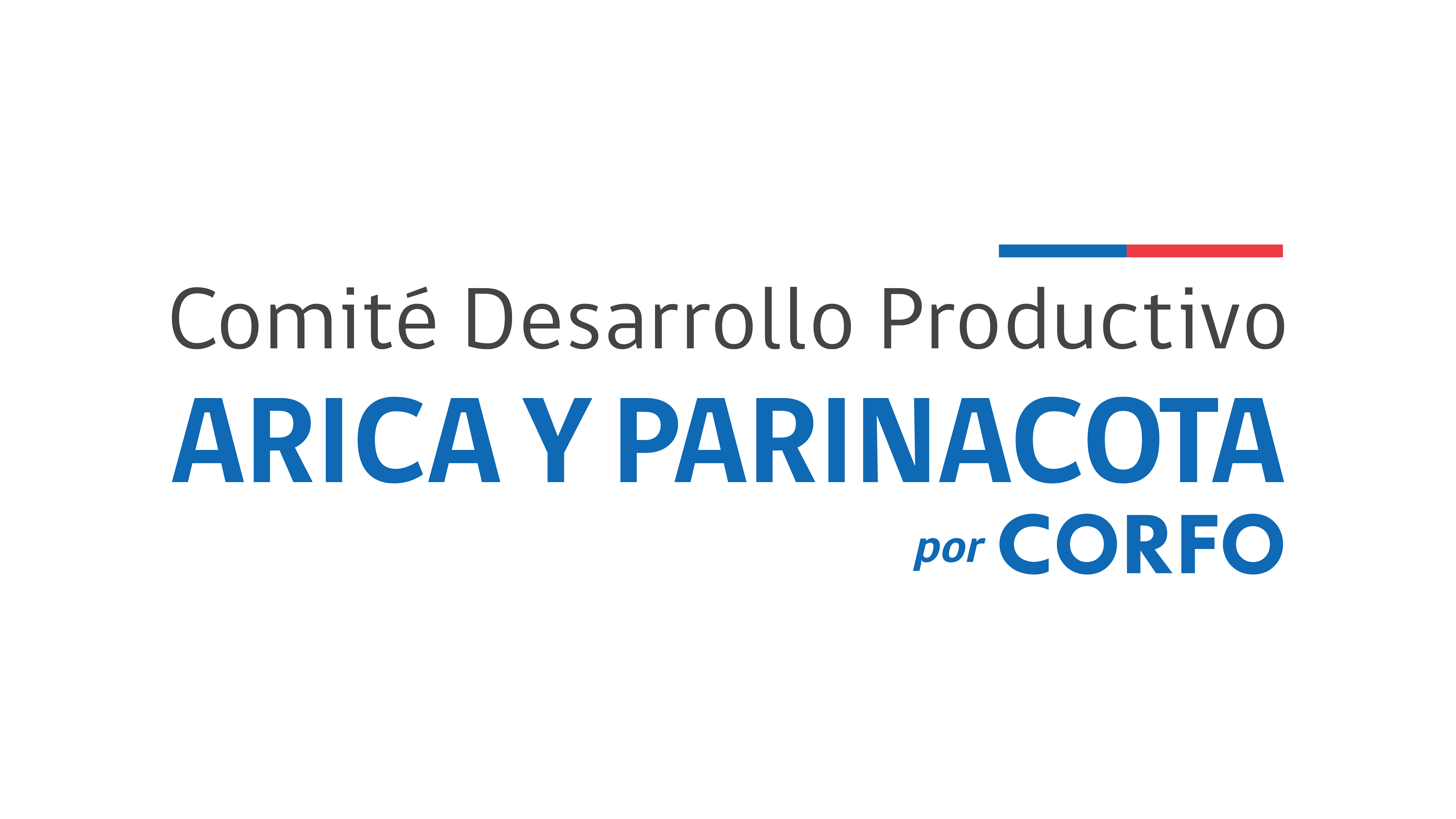 Comité Desarrollo Productivo Arica y Parinacota